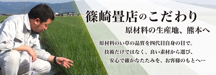 篠崎畳店_茨城県筑西市,明野にある創業110余年の伝統あるの畳店_原材料生産地視察、熊本へ